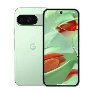 Google Pixel 9 12/128GB Wintergreen (JP)