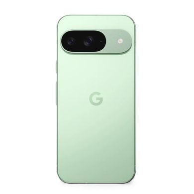 Google Pixel 9 12/128GB Wintergreen (JP)