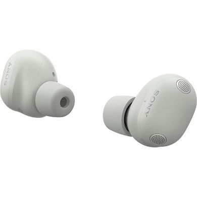 Sony WF-1000XM6 Platinum Silver (WF1000XM6S.CE7)