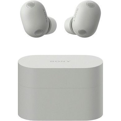 Sony WF-1000XM6 Platinum Silver (WF1000XM6S.CE7)