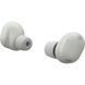 Sony WF-1000XM6 Platinum Silver (WF1000XM6S.CE7)
