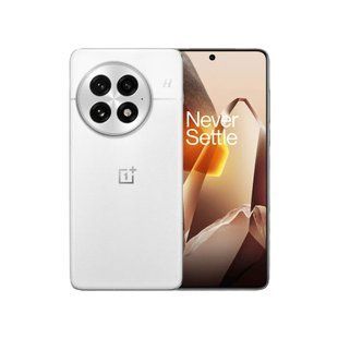 OnePlus 13 12/256GB Arctic Dawn