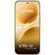Vivo V70 12/256GB Alpine Gray (Global Version)