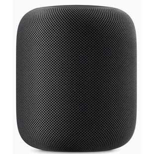 Apple HomePod Space Gray (MQHW2) UK