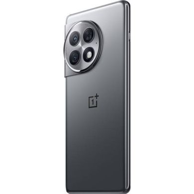 OnePlus Ace 2 Pro 12/256GB Titanium Gray