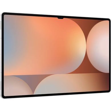 Samsung Galaxy Tab S10 Ultra 12/256GB Platinum Silver (SM-X920NZSR)