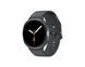 Samsung Galaxy Watch 8 LTE 44mm Grafite (SM-L335FDAA)
