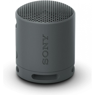 Sony SRS-XB100 Black (SRSXB100B)